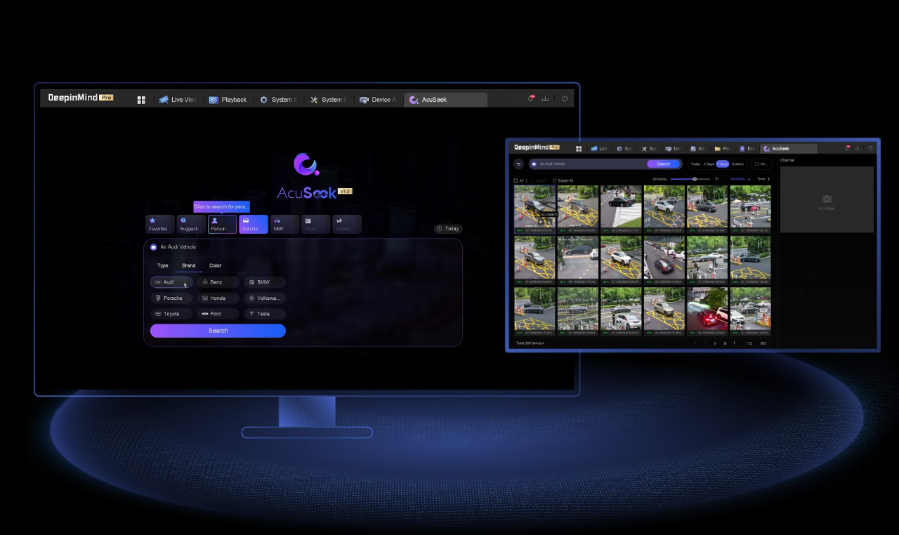 NVR local GUI