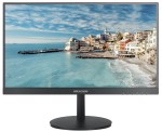 21.5" LED monitor; 178°/178° angle of view; Full HD resolution; loudspeaker; 24/7 use