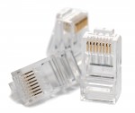 RJ45 connector; for wall mounted UTP cable (solid);cat5e;self-extinguishing UL94V-2;100 pcs/box;8P8C